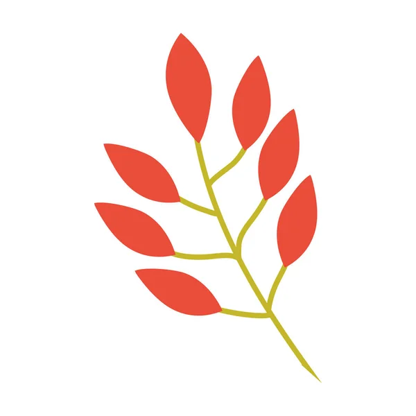 Orange feuilles branche image — Image vectorielle