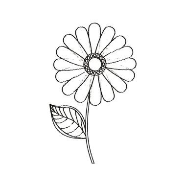 çiçek papatya çiçek dekorasyon kroki