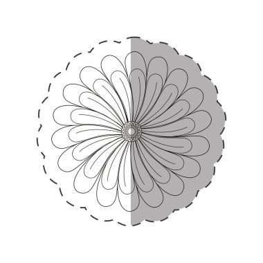 Yıldız Çiçeği çiçek dekorasyon kesmiş