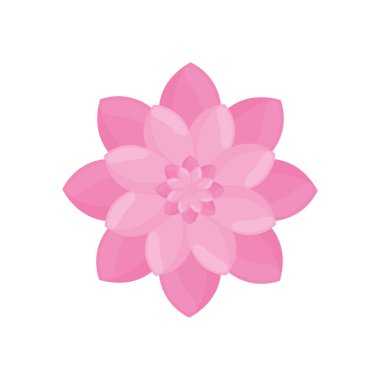 Pembe Çiçek Bahçe Dekorasyon