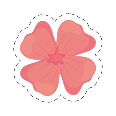 Sardunya çiçek renk kesmiş