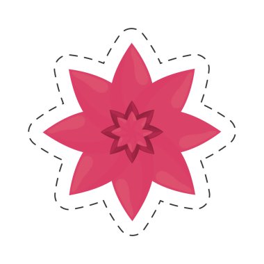 çiçek petal doğa renk kesmiş