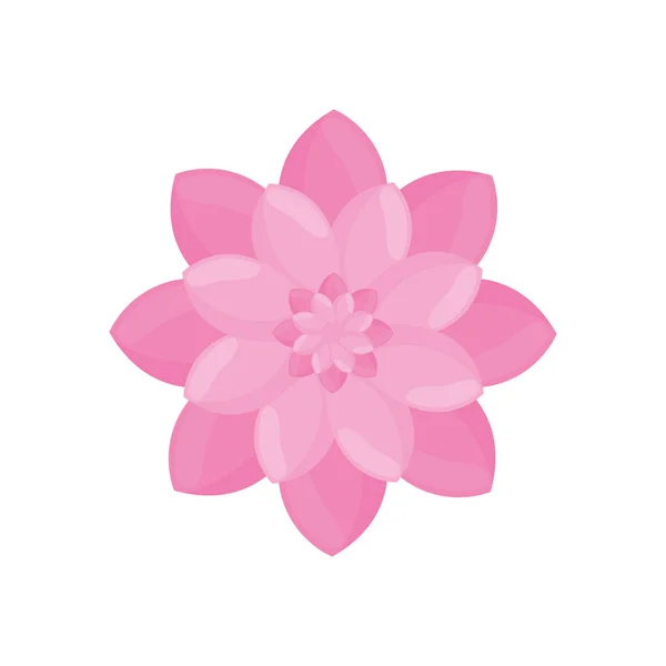 Fiore rosa giardino decorazione — Vettoriale Stock