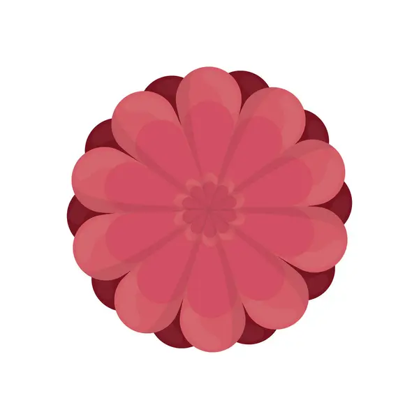 Chrysantemum virág dekoráció kép — Stock Vector