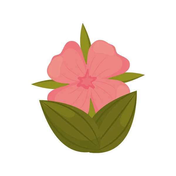 Geranienblütenknospe mit Blättern — Stockvektor