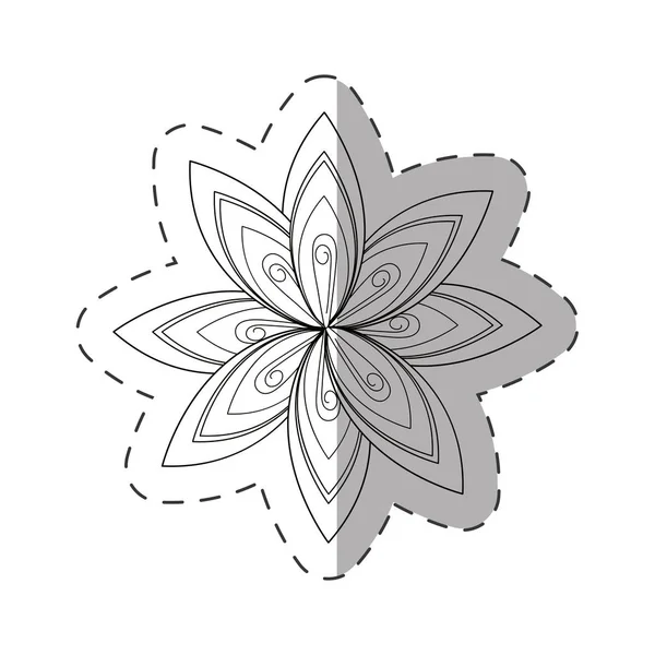 Flor aster decoración imagen línea de corte — Archivo Imágenes Vectoriales
