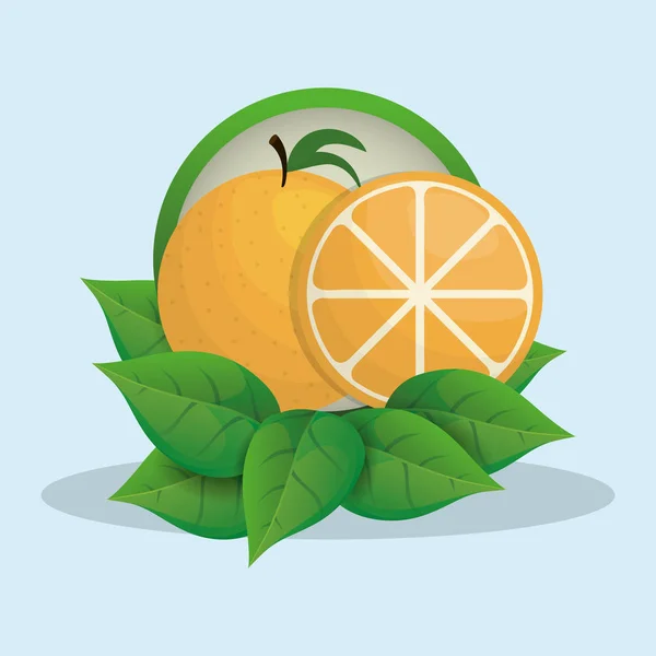 Insignia de naranja y hojas — Vector de stock
