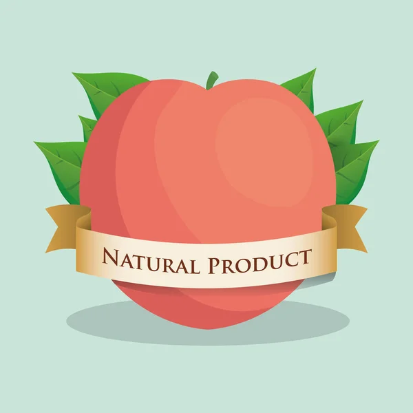Abricot produit naturel feuilles ruban — Image vectorielle