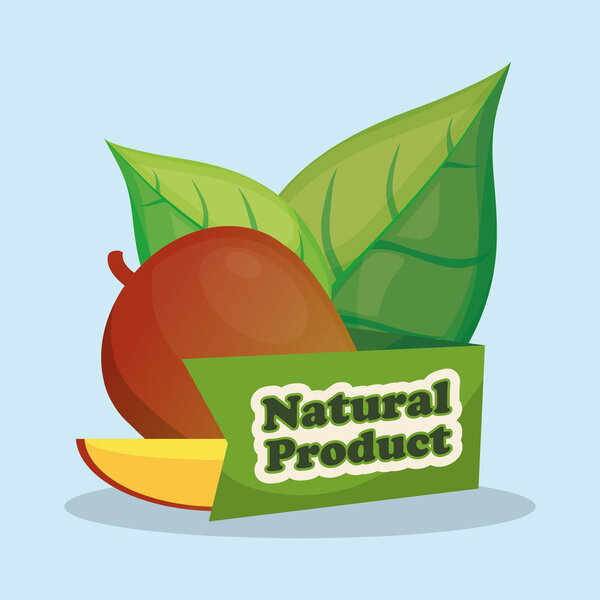 манго ломтик натуральный дизайн продукта
