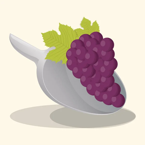 Виноград веганская еда свежая — стоковый вектор