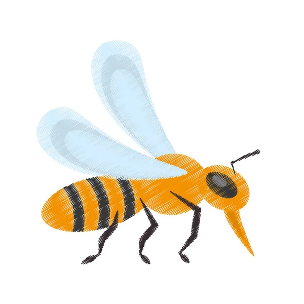 Dibujo abeja insecto flor polen — Vector de stock