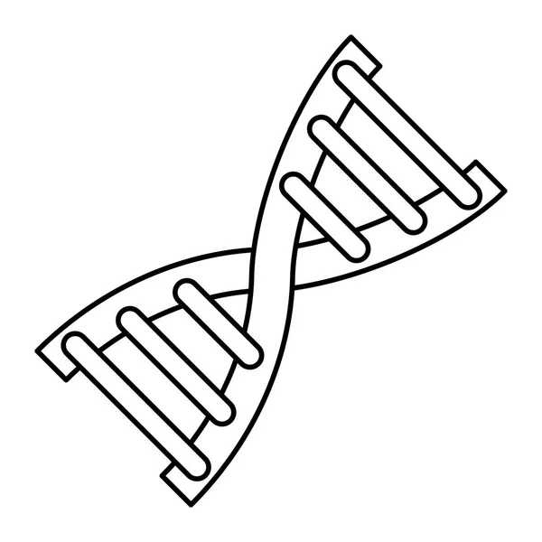 İnsan DNA'sı simgesi — Stok Vektör