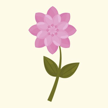 güzel çiçek tasarımı