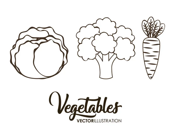 Gezonde groenten pictogram — Stockvector