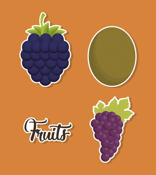 Design de frutas saudáveis — Vetor de Stock