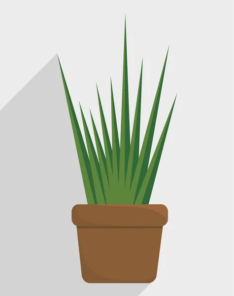 Pflanze im Topf — Stockvektor