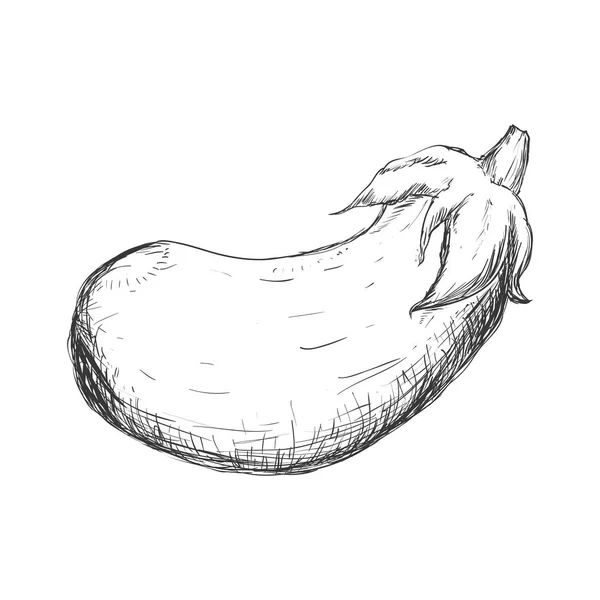 Dibujo a mano vegetal — Vector de stock