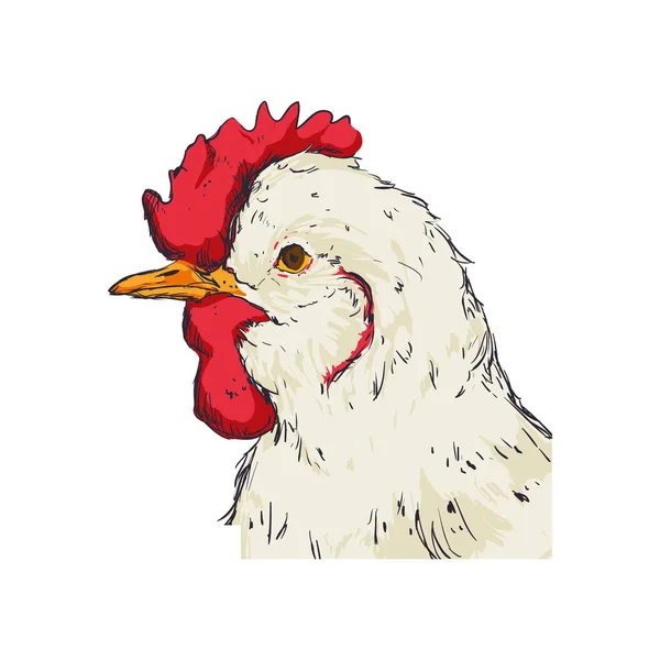 Granja de pollo mano dibujar — Archivo Imágenes Vectoriales