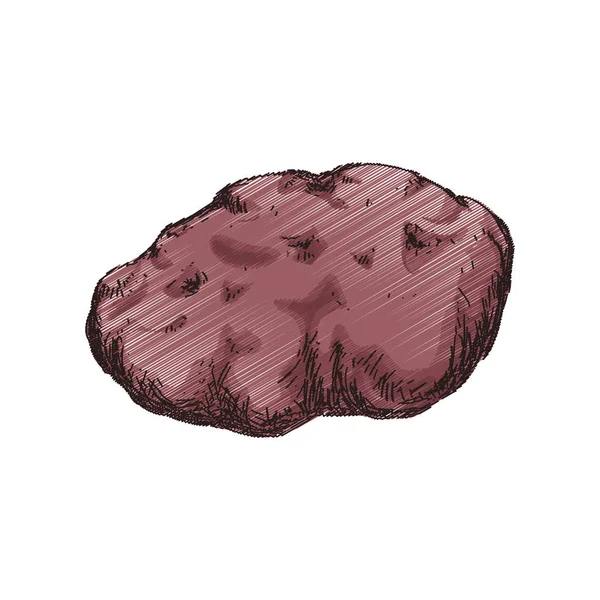 Pomme de terre Légumes dessin à la main — Image vectorielle