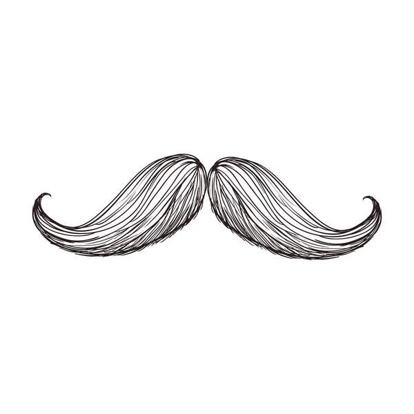 Moustache masculine vintage — Image vectorielle