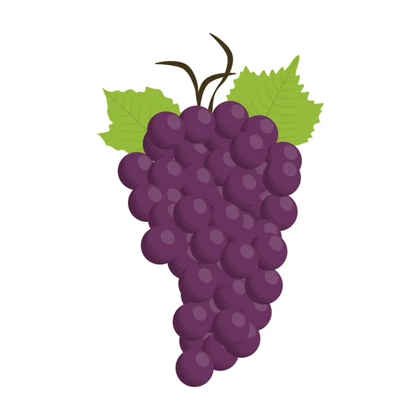 Bunch of grapes icon — Stock Vector