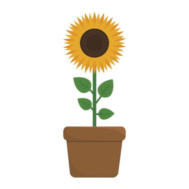 güzel çiçek tasarımı