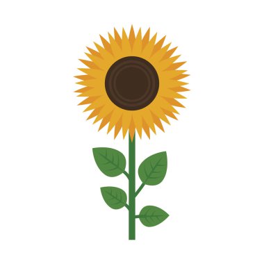 güzel çiçek tasarımı