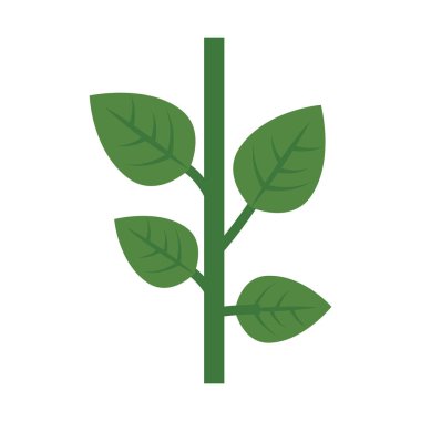 yeşil bitki tasarımı