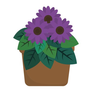 güzel çiçek tasarımı