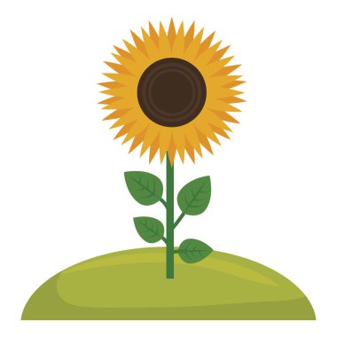 güzel çiçek tasarımı