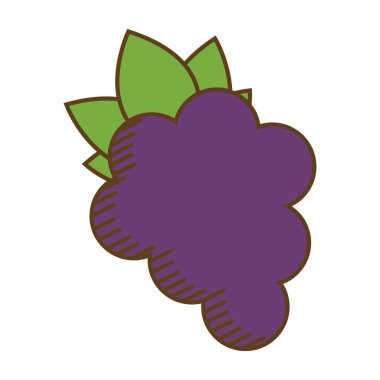 sağlıklı meyve tasarım