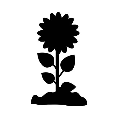 güzel çiçek tasarımı