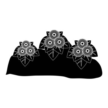 güzel çiçek tasarımı