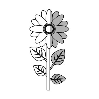 güzel çiçek tasarımı