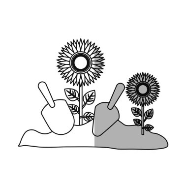 güzel çiçek tasarımı