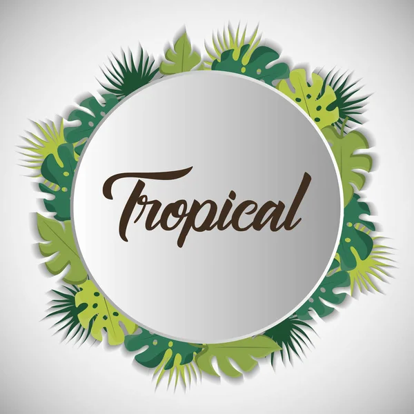 Projekt liści tropikalnych — Wektor stockowy