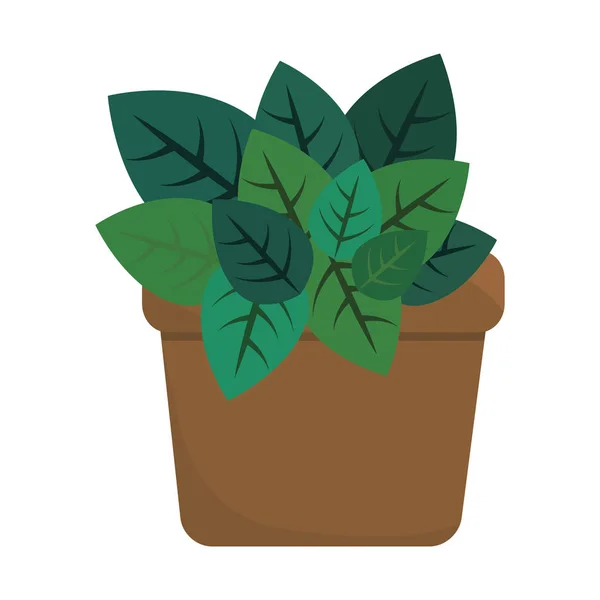 Grön växtdesign — Stock vektor