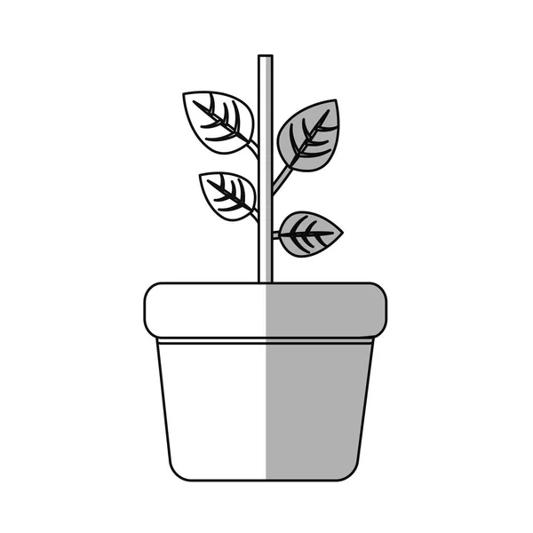 Cacto De Vetor Plano Bonito Na Ilustração De Vaso De Flores Linear Bege.  Mini Planta De Cactos De Desenho Animado Moderno No Ícone De Panela Da  Moda. Elemento Gráfico De Vetor De