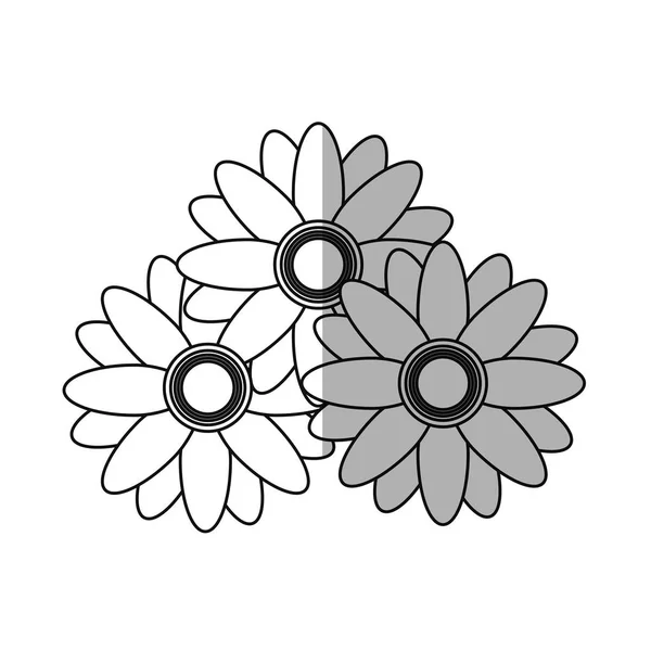 Mooie bloemen ontwerp — Stockvector