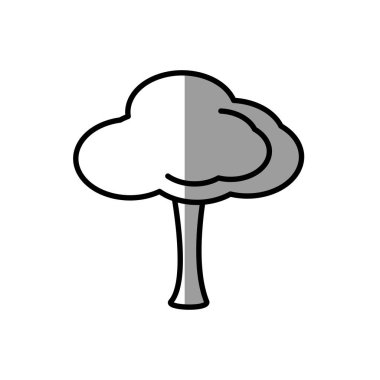 ağaç doğal piknik gölge