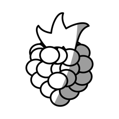 ahududu meyve taze gıda piknik gölge