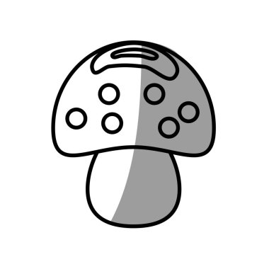 mantar yemek piknik gölge