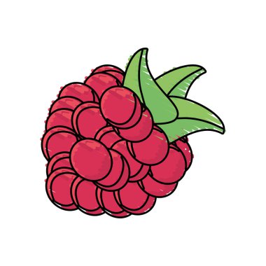 ahududu meyve taze hasat