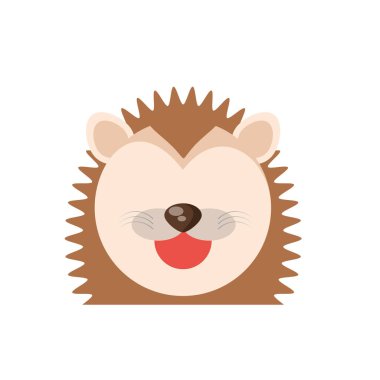 baş sevimli kirpi hayvan resim