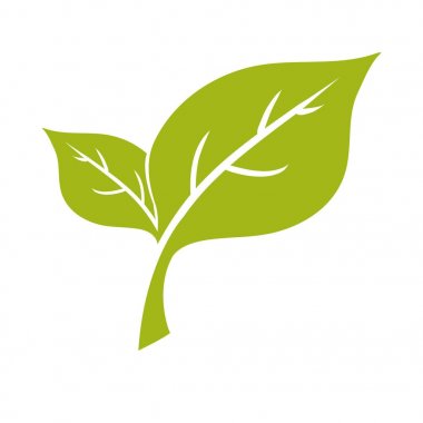 Yaprakları doğal ekoloji