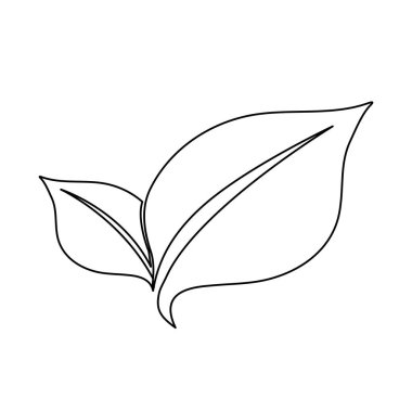 Yaprakları doğal ekoloji