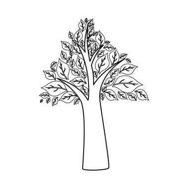 Ağaç doğa ekoloji