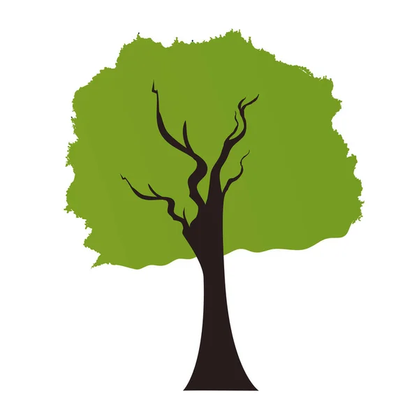 Ecologia da natureza das árvores — Vetor de Stock