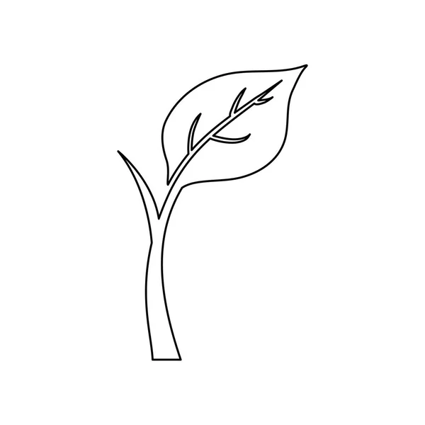 잎 자연 생태 — 스톡 벡터