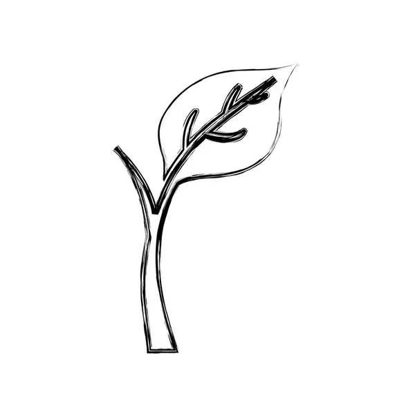 잎 자연 생태 — 스톡 벡터